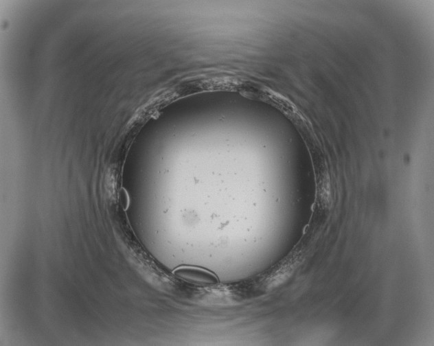 X0000085210715200703231507