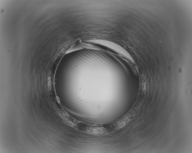 X0000085210716200703231507