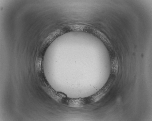 X0000085210717200703231507