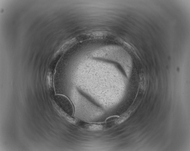 X0000085210718200703231507