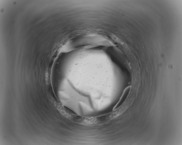 X0000085210720200703231507