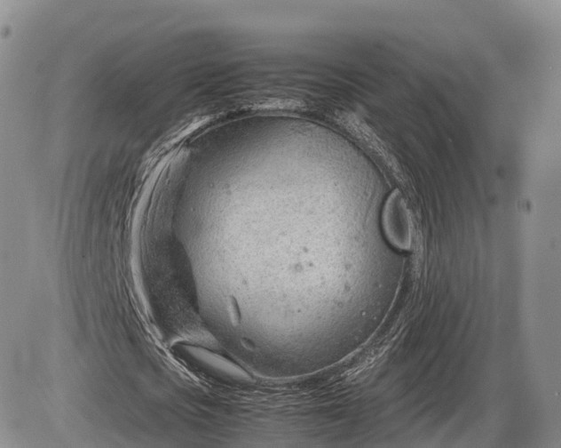 X0000085210721200703231506