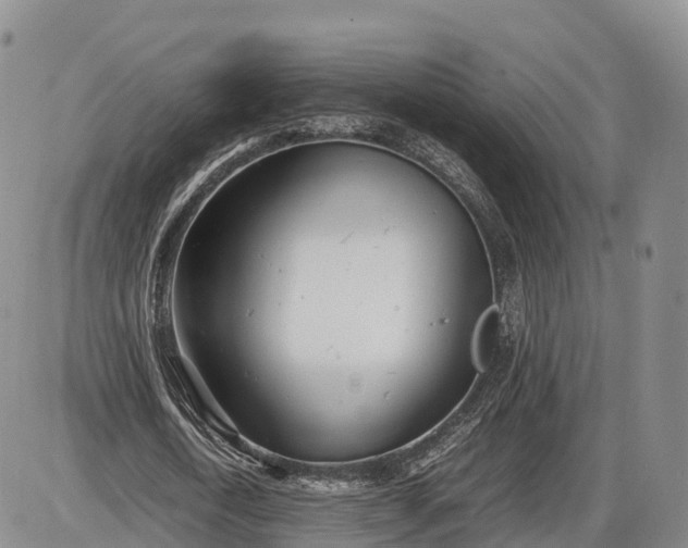 X0000085210722200703231506