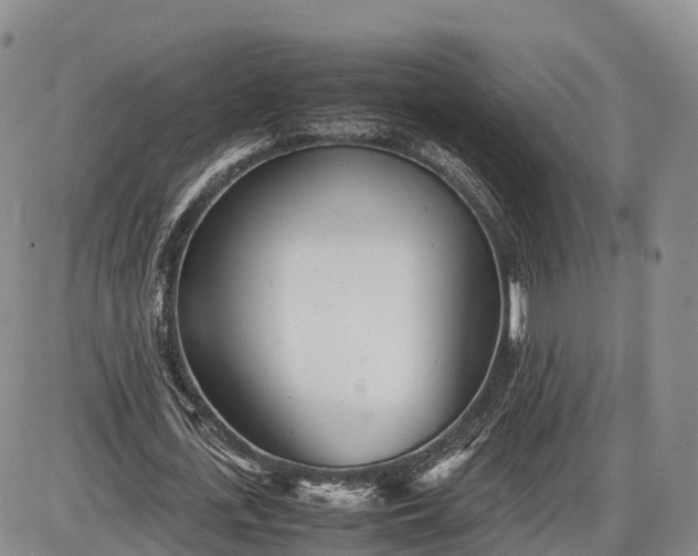 X0000085210723200703231506