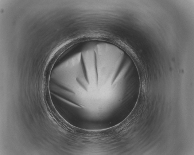 X0000085210724200703231506