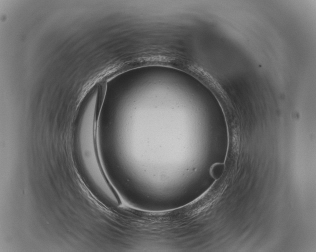 X0000085210725200703231506