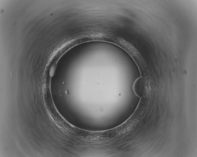 X0000085210728200703231506