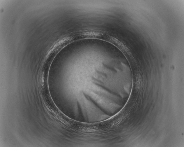 X0000085210731200703231506