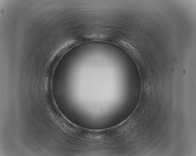 X0000085210735200703231506