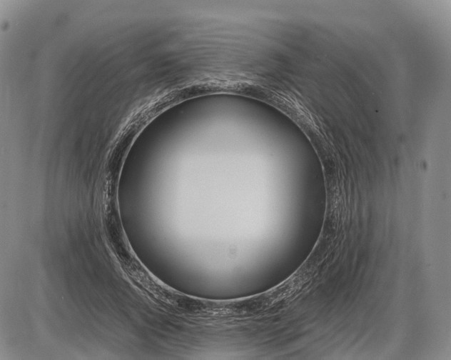 X0000085210736200703231506