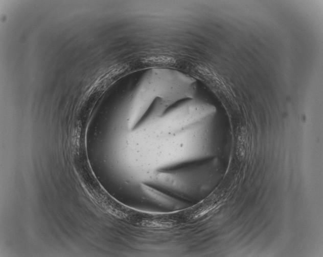 X0000085210739200703231506