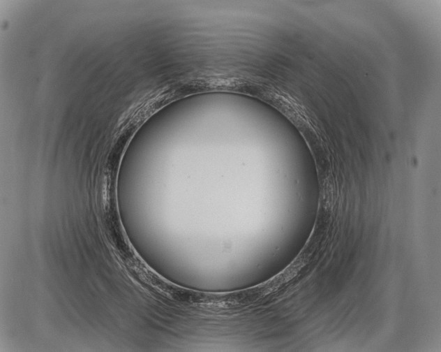 X0000085210740200703231506