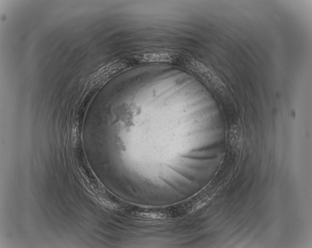 X0000085210741200703231506