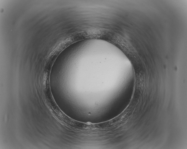 X0000085210742200703231506