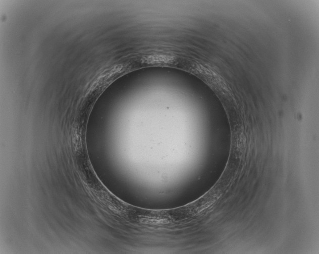 X0000085210743200703231506