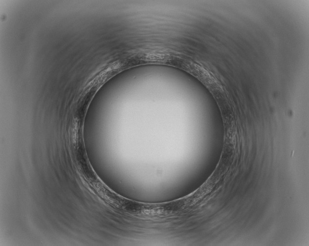 X0000085210744200703231506