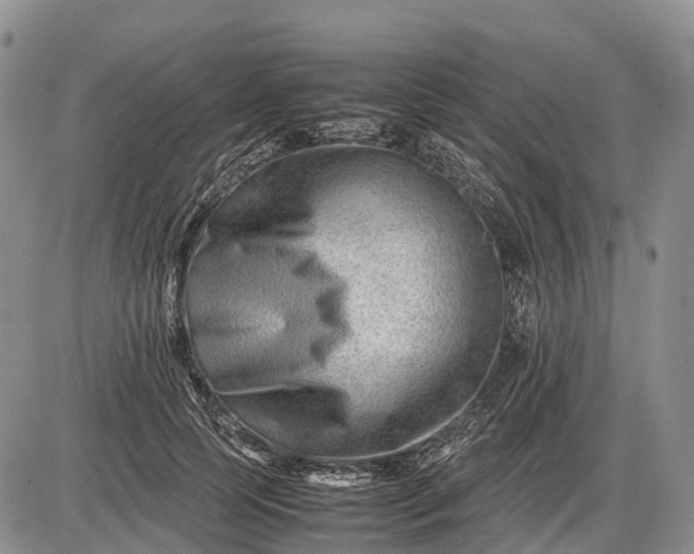 X0000085210745200703231506