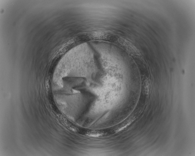 X0000085210746200703231506