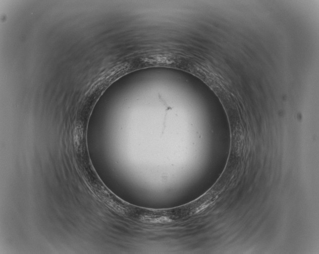 X0000085210747200703231506