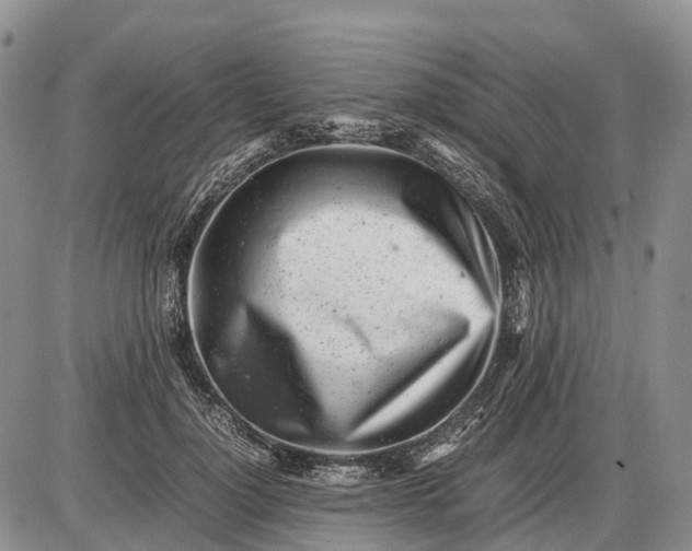 X0000085210748200703231506