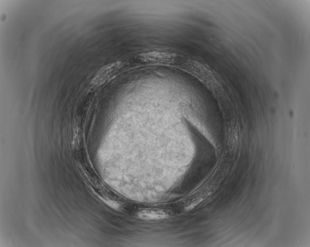 X0000085210749200703231506