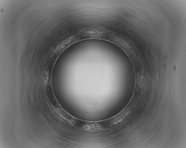 X0000085210752200703231506