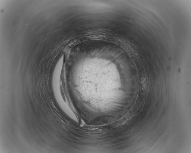 X0000085210753200703231506