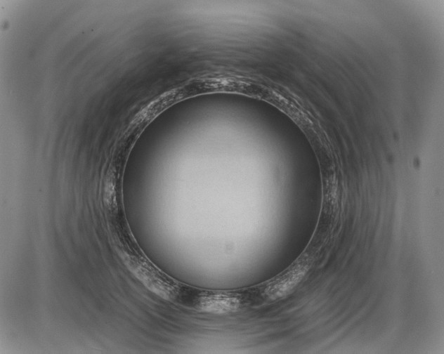 X0000085210754200703231506