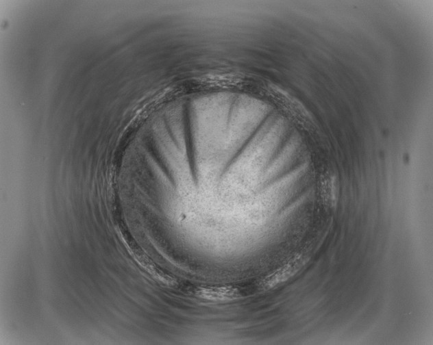 X0000085210757200703231507