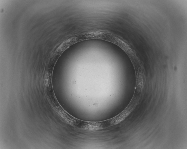 X0000085210758200703231507