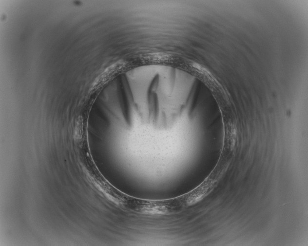 X0000085210760200703231507