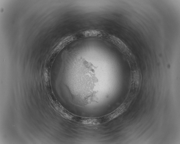 X0000085210761200703231507