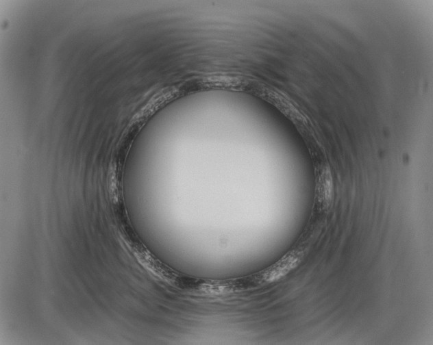 X0000085210764200703231507