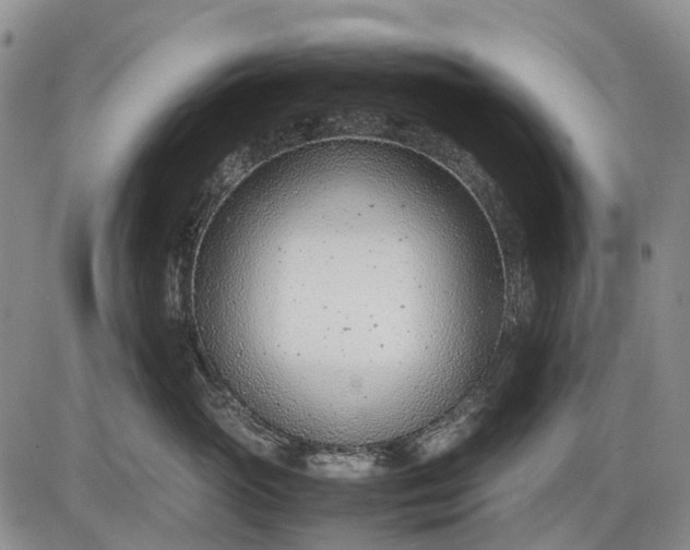 X0000085210765200703231507