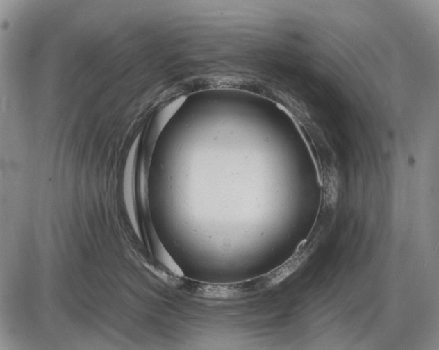 X0000085210766200703231507