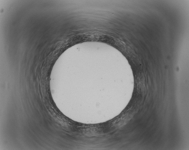 X0000085210769200703231506