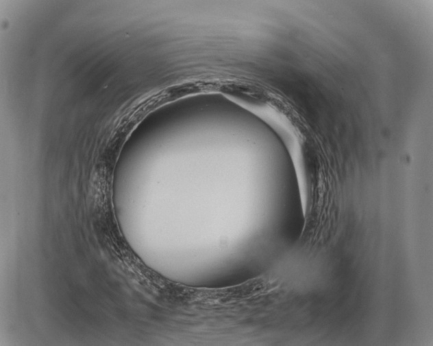 X0000085210773200703231506