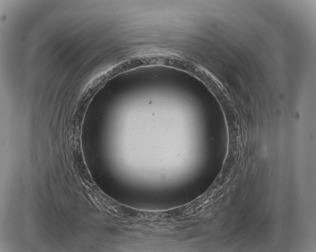 X0000085210775200703231506