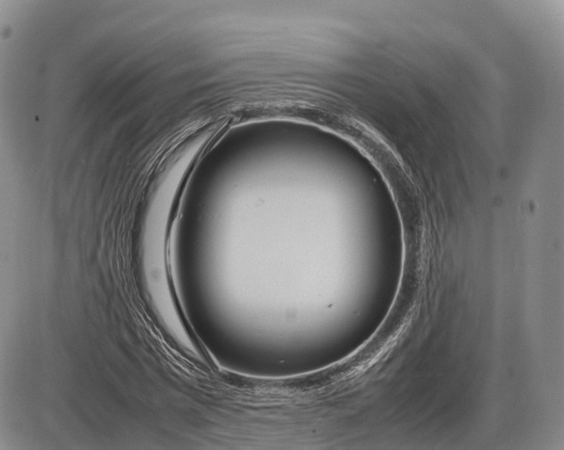 X0000085210777200703231506