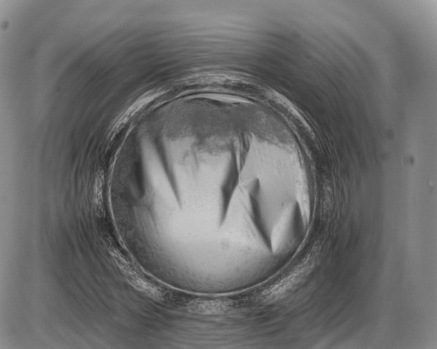 X0000085210778200703231506