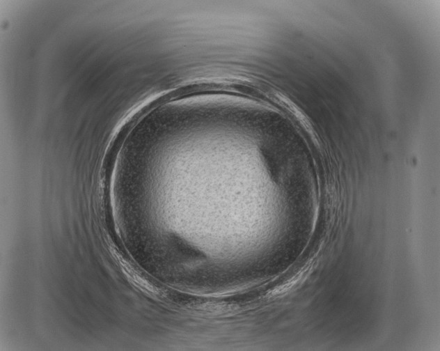 X0000085210779200703231506