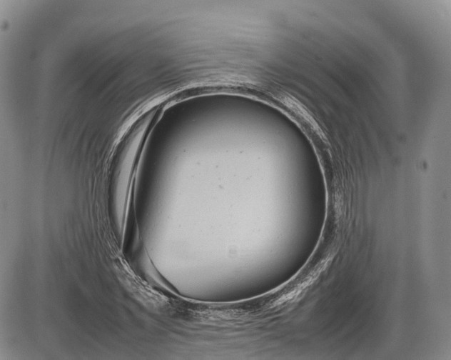 X0000085210781200703231506