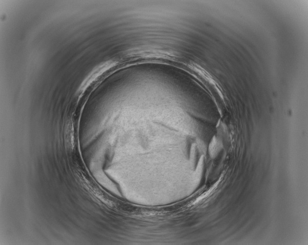 X0000085210782200703231506