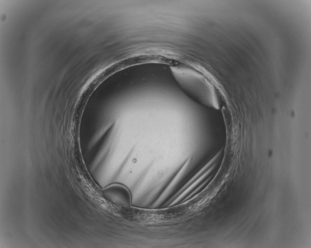 X0000085210783200703231506