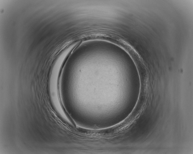 X0000085210785200703231506