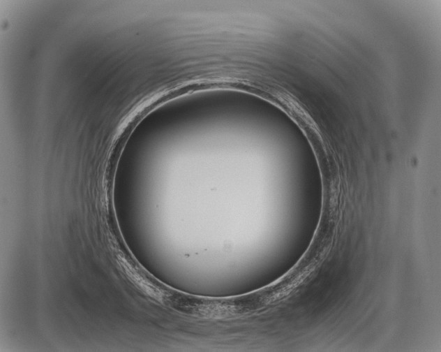 X0000085210789200703231506