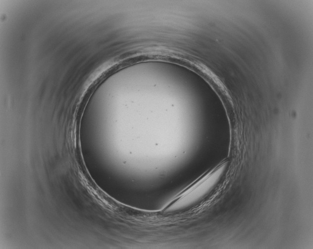 X0000085210791200703231506