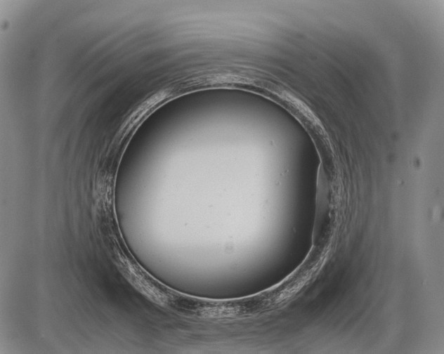 X0000085210793200703231506