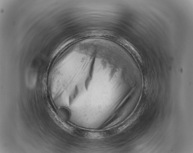 X0000085210794200703231505