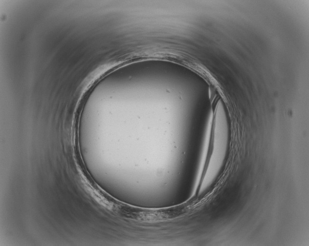 X0000085210795200703231505